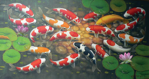 Ảnh cá Koi